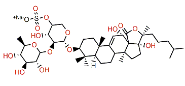 Holothurin B1